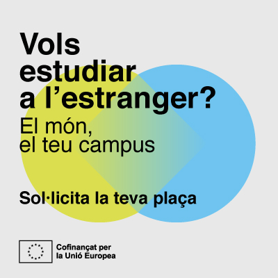 Vols estudiar a l'estranger? 